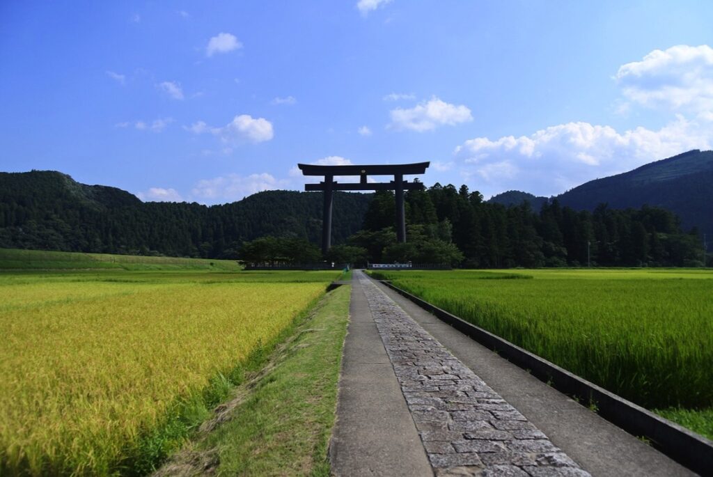 和歌山の魅力や特産品