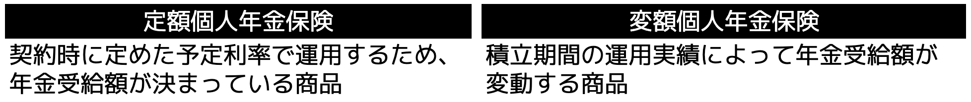 (画像)変額個人年金保険