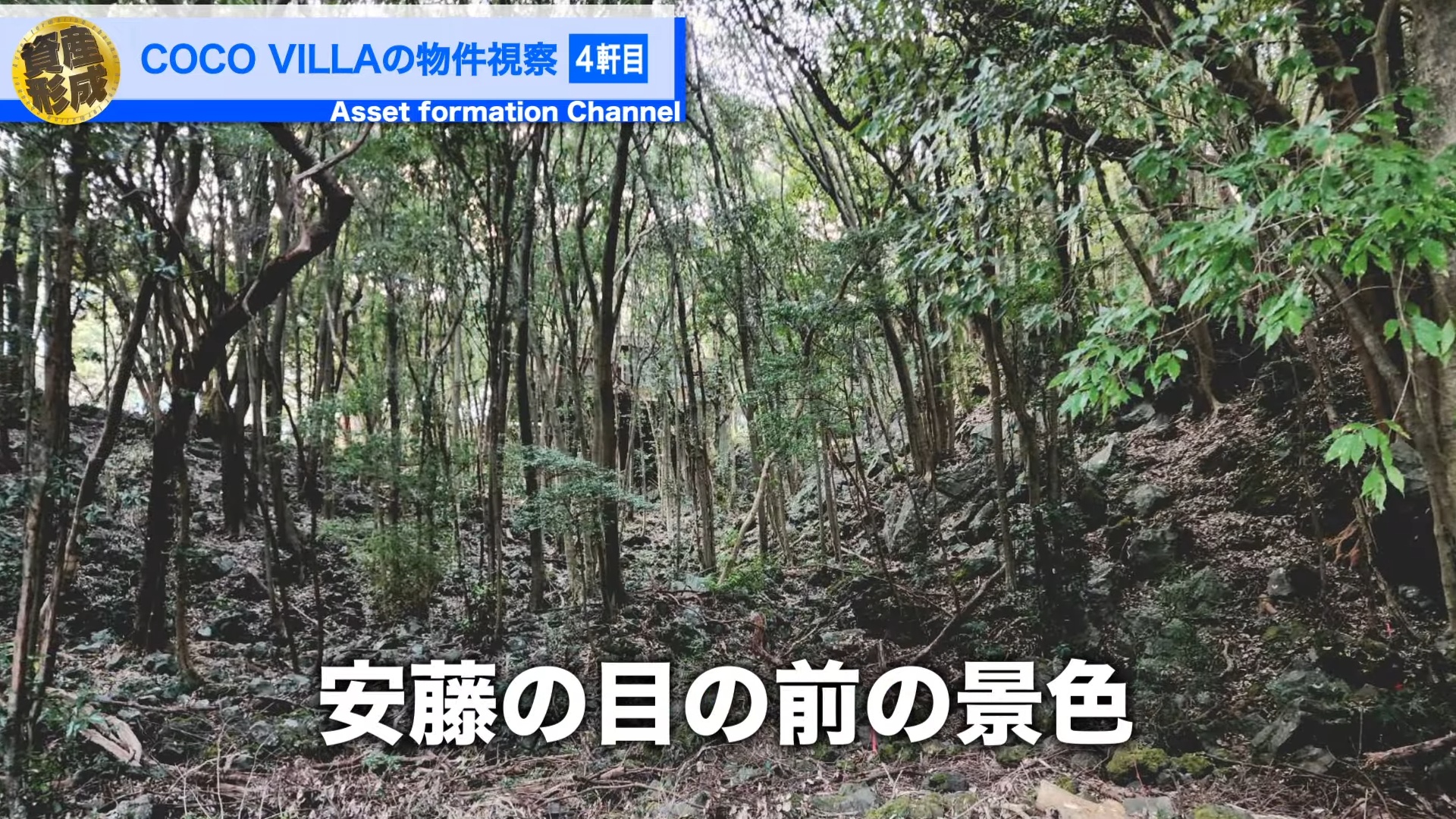 サウナの裏側のこっちを見ながら整う。
