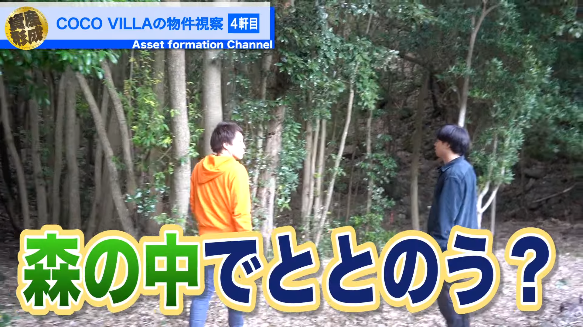森の中で整って