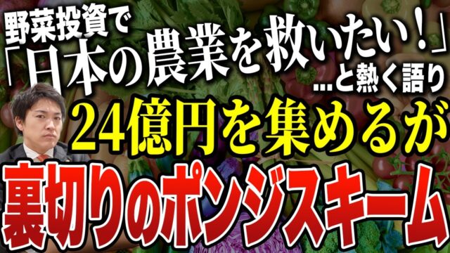24億円集め月利5％をうたった「野菜投資」とは？アグリス九州の事件から見る危ない投資話の特徴