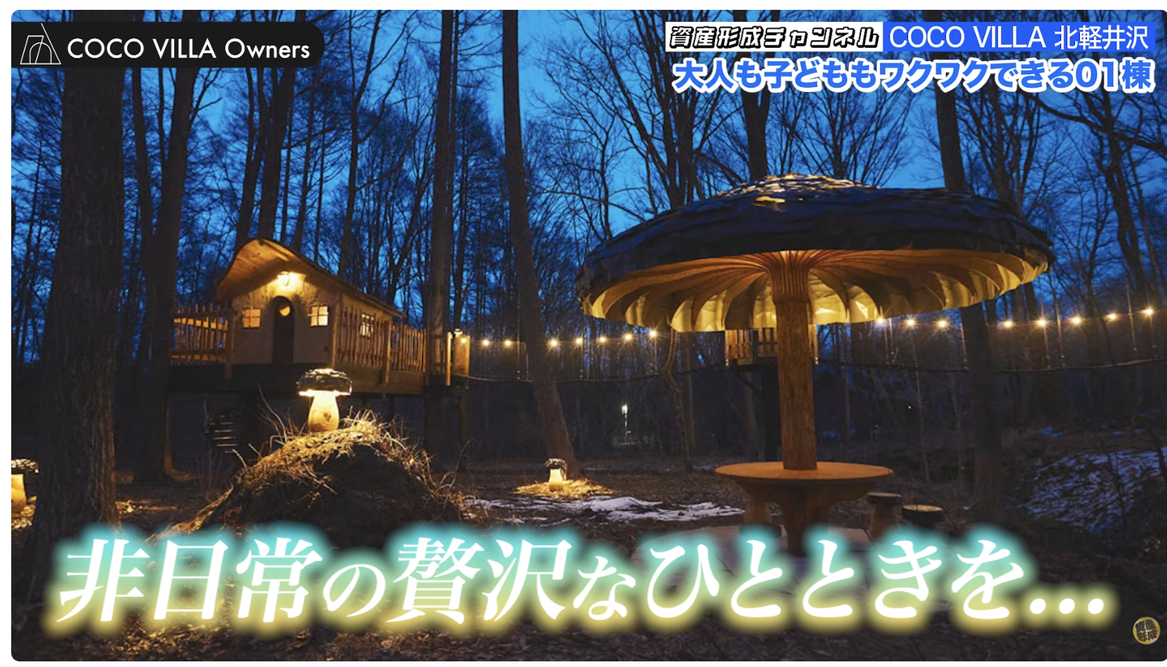 夜には電飾が灯り、幻想的な雰囲気に包まれます